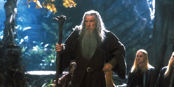 the lord of the rings - Who are the rest of members at Elrond's Council? -  Science Fiction & Fantasy Stack Exchange