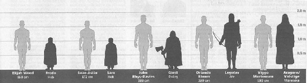 Метры по сравнению с человеком. Рост человека. Сравнение людей. Люди с ростом 145 см. Человек и человек сравнение.